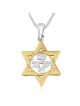 תליון שרשרת מגן דוד עם ישראל חי מצופה זהב